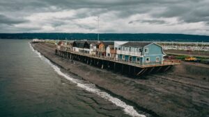 Top Things to Do in Homer, Alaska3